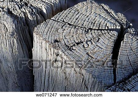 Weathered wood post View Large Photo Image Stock Photo - Weathered wood post. Fotosearch