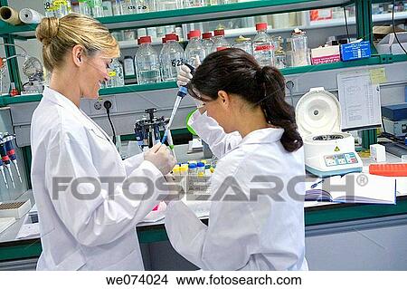 Picture - accurate, colleague, accuracy. Fotosearch