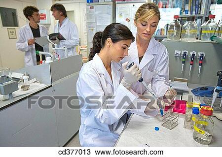 accurate, colleague, accuracy View Large Photo Image Stock Image - accurate, colleague, accuracy. Fotosearch