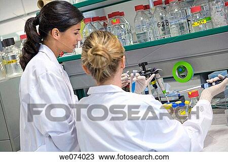 accurate, colleague, accuracy View Large Photo Image Stock Image - accurate, colleague, accuracy. Fotosearch