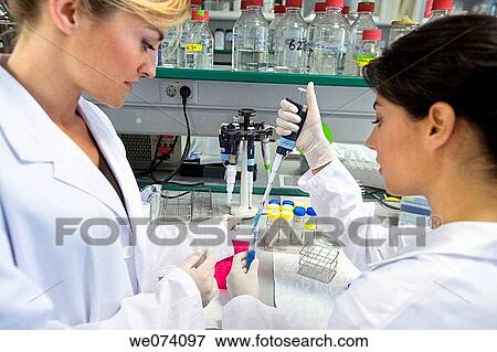 Stock Photo - accurate, colleague, accuracy. Fotosearch