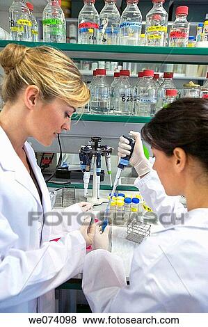 Stock Photo - accurate, colleague, accuracy. Fotosearch