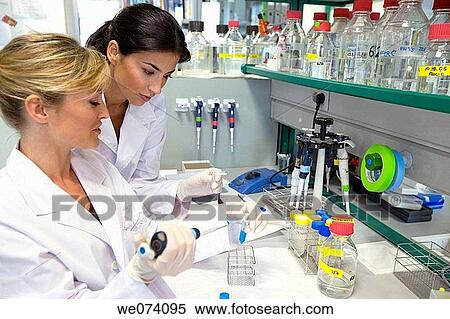 accurate, colleague, accuracy View Large Photo Image Stock Photography - accurate, colleague, accuracy. Fotosearch