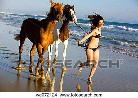 activity, beach, animal, action View Large Photo Image Picture - activity, beach, animal, action. Fotosearch