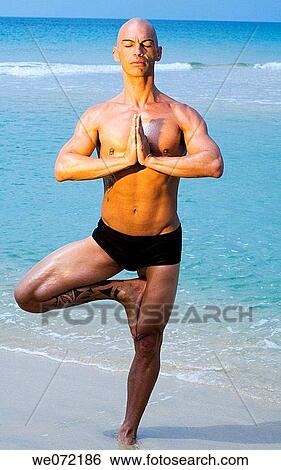 age, asana, agility, agile, 30's View Large Photo Image Stock Photograph - age, asana, agility, agile, 30's. Fotosearch