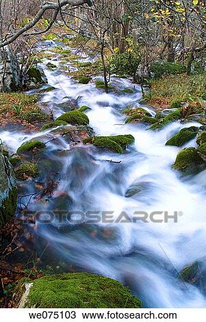 Stock Image - As? n river, Cantabria. Spain.. Fotosearch
