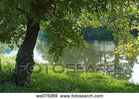 Ason river. Ramales de la Victoria. Cantabria, Spain. View Large Photo Image Stock Photo - Ason river. Ramales de la Victoria. Cantabria, Spain.. Fotosearch