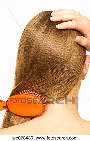 back view, brown hair, brush, Brushing hair, chestnut hair View Large Photo Image Stock Image - back view, brown hair, brush, Brushing hair, chestnut hair. Fotosearch