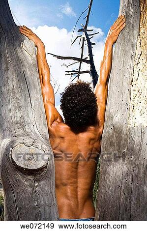back view, catch, blue sky, blue, Arms raised View Large Photo Image Stock Photo - back view, catch, blue sky, blue, Arms raised. Fotosearch