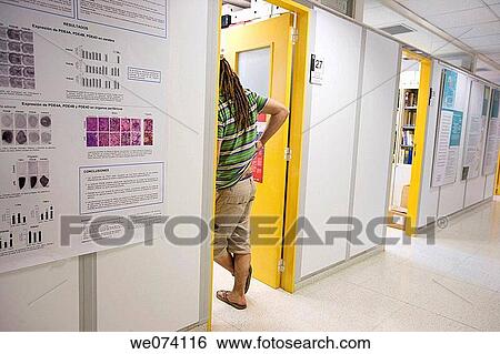 back view, contemporary, corridor, door View Large Photo Image Stock Photograph - back view, contemporary, corridor, door. Fotosearch