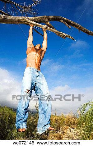 barefoot, blue, blue sky, branch View Large Photo Image Stock Photograph - barefoot, blue, blue sky, branch. Fotosearch