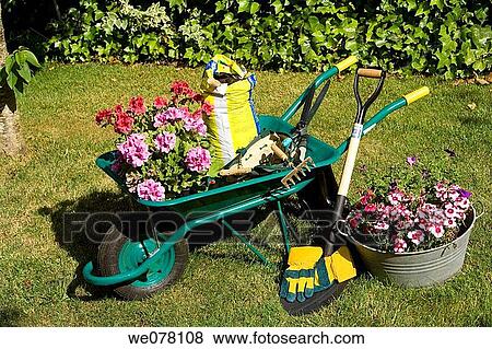barrow, bucket, contemporary, day, flower View Large Photo Image Stock Photo - barrow, bucket, contemporary, day, flower. Fotosearch