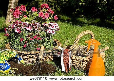 basket, concept, contemporary, day, earth View Large Photo Image Stock Image - basket, concept, contemporary, day, earth. Fotosearch