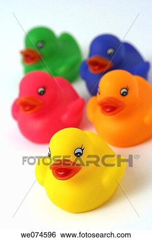 Stock Photograph - Bath ducklings. Fotosearch