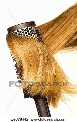 beauty, Beauty Care, brown hair, brush, chestnut hair View Large Photo Image Stock Image - beauty, Beauty Care, brown hair, brush, chestnut hair. Fotosearch