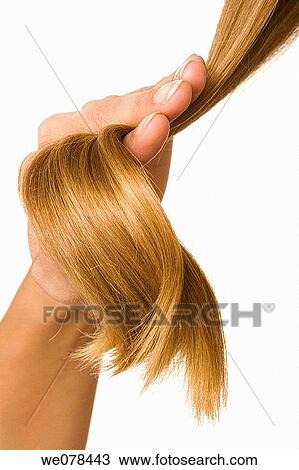 beauty, Beauty Care, brown hair, chestnut hair, clipping path View Large Photo Image Stock Image - beauty, Beauty Care, brown hair, chestnut hair, clipping path. Fotosearch