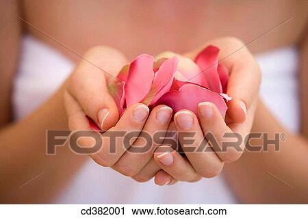 beauty, Beauty Care, Close-up, contemporary View Large Photo Image Stock Image - beauty, Beauty Care, Close-up, contemporary. Fotosearch