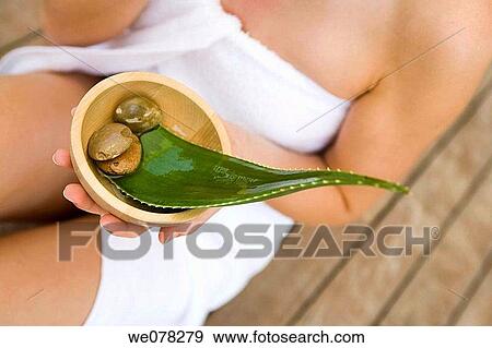 Stock Photo - beauty, bowl, Body care, aloe. Fotosearch