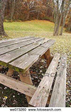 bench, cooler, contemporary, calm, autumn View Large Photo Image Stock Image - bench, cooler, contemporary, calm, autumn. Fotosearch
