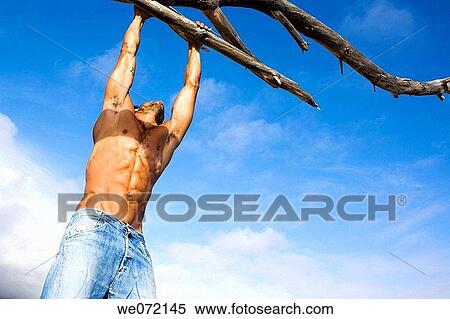 blue, blue sky, branch View Large Photo Image Stock Photography - blue, blue sky, branch. Fotosearch