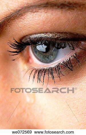 Stock Photo - blue, Close-up, contemporary. Fotosearch