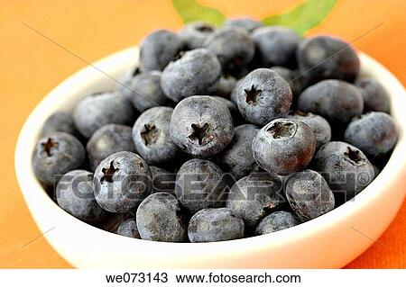 Blueberries View Large Photo Image Stock Image - Blueberries. Fotosearch