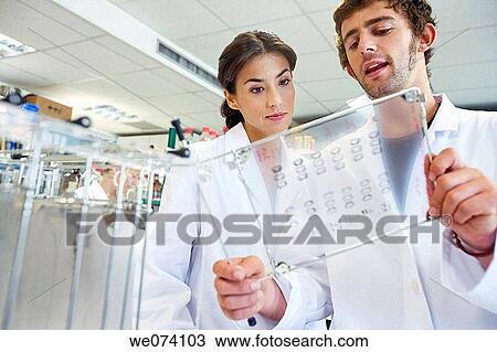 board, colleague, companion View Large Photo Image Stock Image - board, colleague, companion. Fotosearch