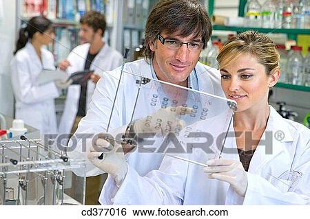 board, colleague View Large Photo Image Stock Photograph - board, colleague. Fotosearch