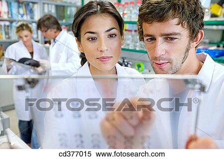 board, colleague View Large Photo Image Stock Photography - board, colleague. Fotosearch
