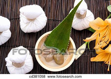 Body care, concept, Close-up, bowl, aloe View Large Photo Image Stock Photo - Body care, concept, Close-up, bowl, aloe. Fotosearch