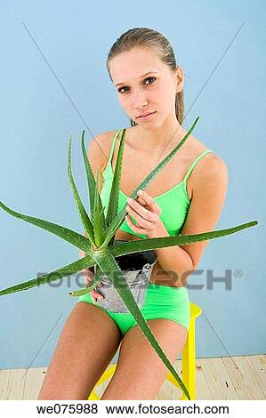 Body care, contemporary, aloe View Large Photo Image Stock Photo - Body care, contemporary, aloe. Fotosearch