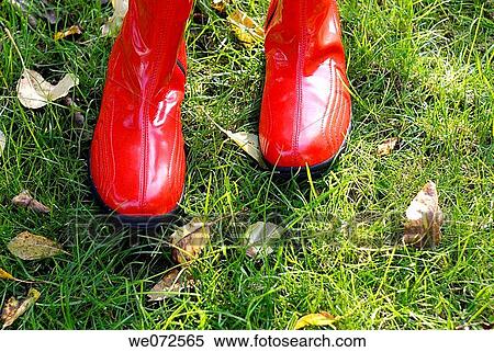 boot, foliage, detail, contemporary, autumn View Large Photo Image Stock Photography - boot, foliage, detail, contemporary, autumn. Fotosearch