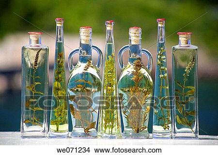 bottle, Close-up, concept, day, decoration View Large Photo Image Picture - bottle, Close-up, concept, day, decoration. Fotosearch