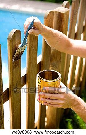 brush, contemporary, Diy, day View Large Photo Image Stock Photo - brush, contemporary, Diy, day. Fotosearch