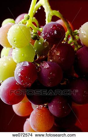 bunch, Close-up, detail, drop, food View Large Photo Image Picture - bunch, Close-up, detail, drop, food. Fotosearch