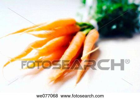 Bunch of Carrots. Daucus carota. April 2007, Maryland, USA View Large Photo Image Stock Photo - Bunch of Carrots. Daucus carota. April 2007, Maryland, USA. Fotosearch