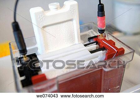 cable, Close-up, Electric power, electricity, electrophoresis View Large Photo Image Stock Image - cable, Close-up, Electric power, electricity, electrophoresis. Fotosearch