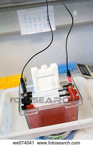 cable, Electric power, electricity, electrophoresis, indoors View Large Photo Image Stock Image - cable, Electric power, electricity, electrophoresis, indoors. Fotosearch