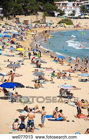 Calella de Palafrugell. Baix Emporda, Girona province, Catalonia, Spain View Large Photo Image Stock Image - Calella de Palafrugell. Baix Emporda, Girona province, Catalonia, Spain. Fotosearch