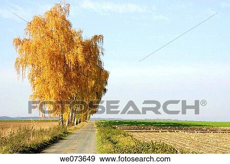 calm, country, Country road, day, Empty road View Large Photo Image Stock Photo - calm, country, Country road, day, Empty road. Fotosearch