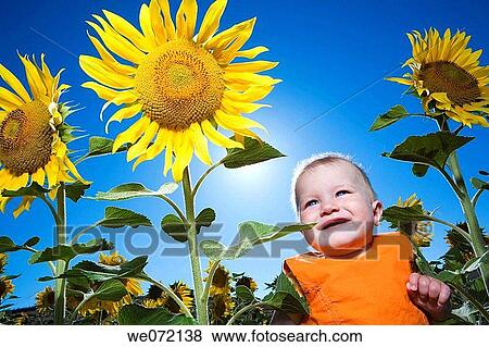 carefree, agriculture, blue sky, blue, baby, age View Large Photo Image Stock Photo - carefree, agriculture, blue sky, blue, baby, age. Fotosearch
