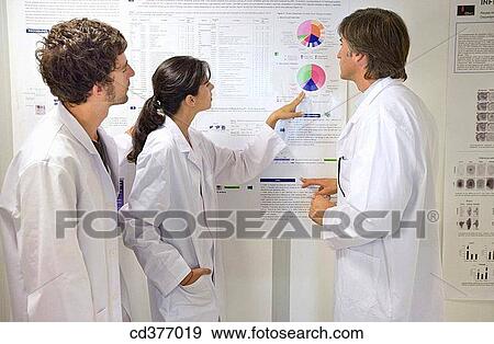 chart, colleague, companion View Large Photo Image Stock Photo - chart, colleague, companion. Fotosearch