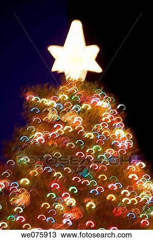 CHRISTMAS TREE View Large Photo Image Stock Image - CHRISTMAS TREE. Fotosearch