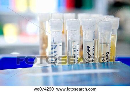 Close-up, indoors, interior, laboratory, Laboratory equipment View Large Photo Image Stock Image - Close-up, indoors, interior, laboratory, Laboratory equipment. Fotosearch