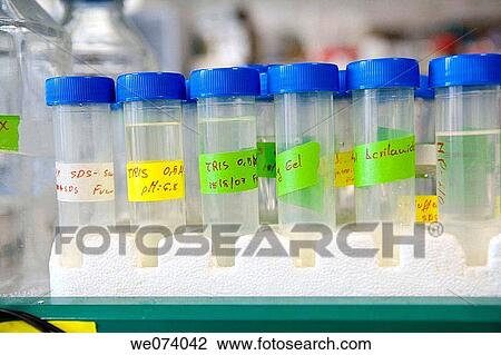 Stock Image - Close-up, interior, indoors, detail, arrangement. Fotosearch