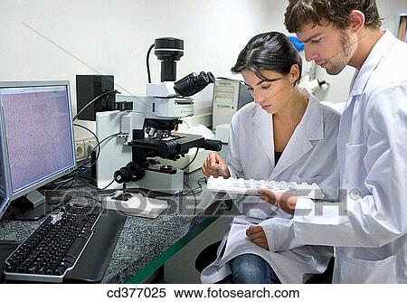 colleague, companion, computer View Large Photo Image Stock Photography - colleague, companion, computer. Fotosearch