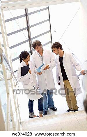 colleague, companion, consult View Large Photo Image Stock Photo - colleague, companion, consult. Fotosearch