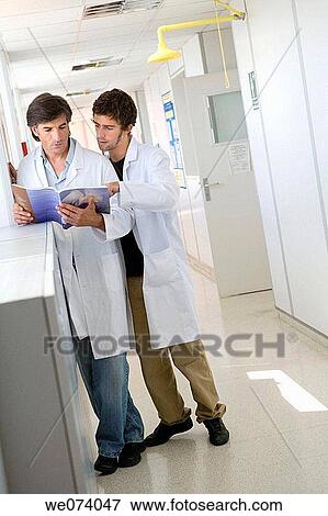 colleague, companion, consult View Large Photo Image Stock Photo - colleague, companion, consult. Fotosearch