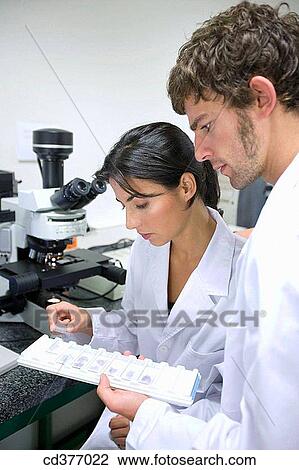Stock Image - colleague, companion, Female. Fotosearch