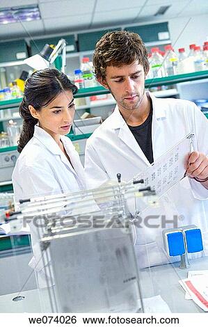 colleague, companion, Female View Large Photo Image Stock Photograph - colleague, companion, Female. Fotosearch